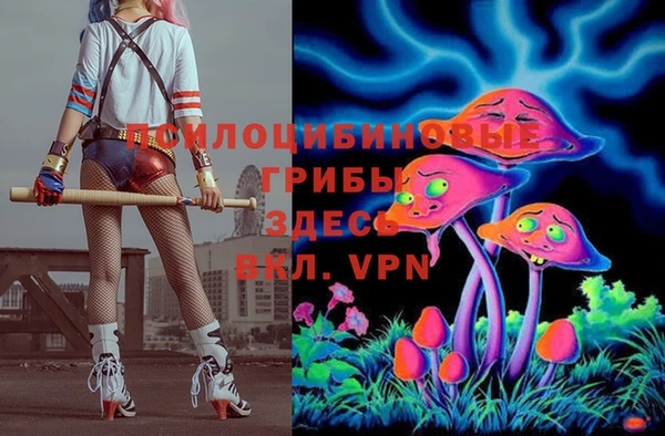 бошки Бикин