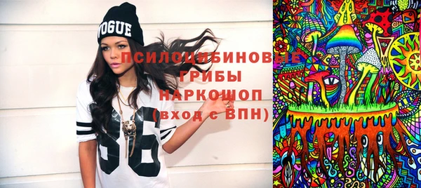 кокс Билибино