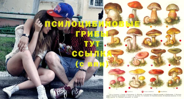 каннабис Нефтекумск